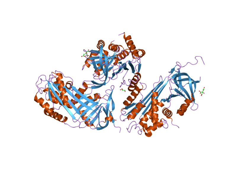 File:PDB 2hi9 EBI.png