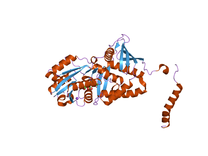 File:PDB 2nz2 EBI.png