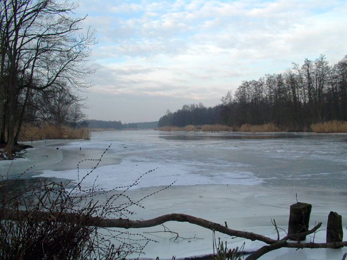 File:Peene bij Gutshaus Stolpe 2002 12-2.jpg