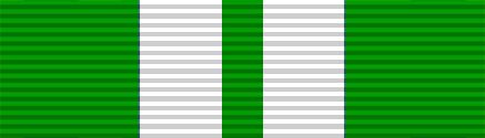 File:Va Commendation Medal.JPG