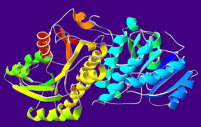 File:AlcoholDehydrogenase-1A4U.png