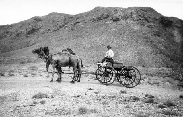 File:Camel team Coolgardie.jpg