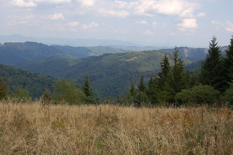 File:Cergov (Slovakia).jpg