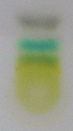 File:Chromatography of chlorophyll - Step 6.jpg