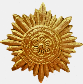 File:Eastern People's Medal in gold (Ostvolkmedaille).png