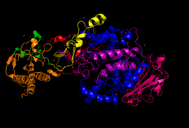 File:Glucansucrase in Streptococcus mutans..png