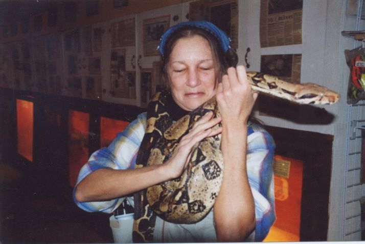 File:Hartsreptileworldsnake.jpg