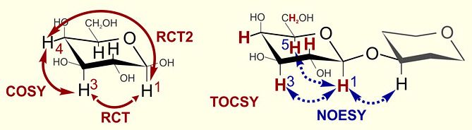 File:Homonuclear correlations in saccharides.jpg