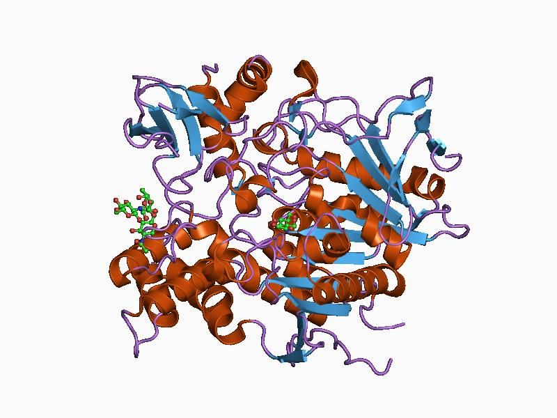 File:PDB 1b41 EBI.jpg