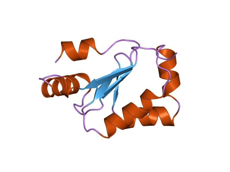 File:PDB 1kte EBI.jpg