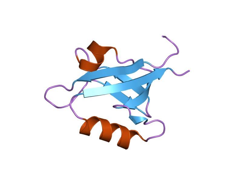 File:PDB 1nte EBI.jpg