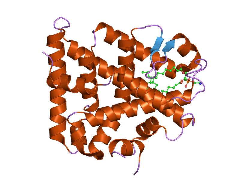 File:PDB 1yp0 EBI.png