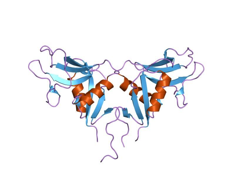 File:PDB 1yxk EBI.jpg