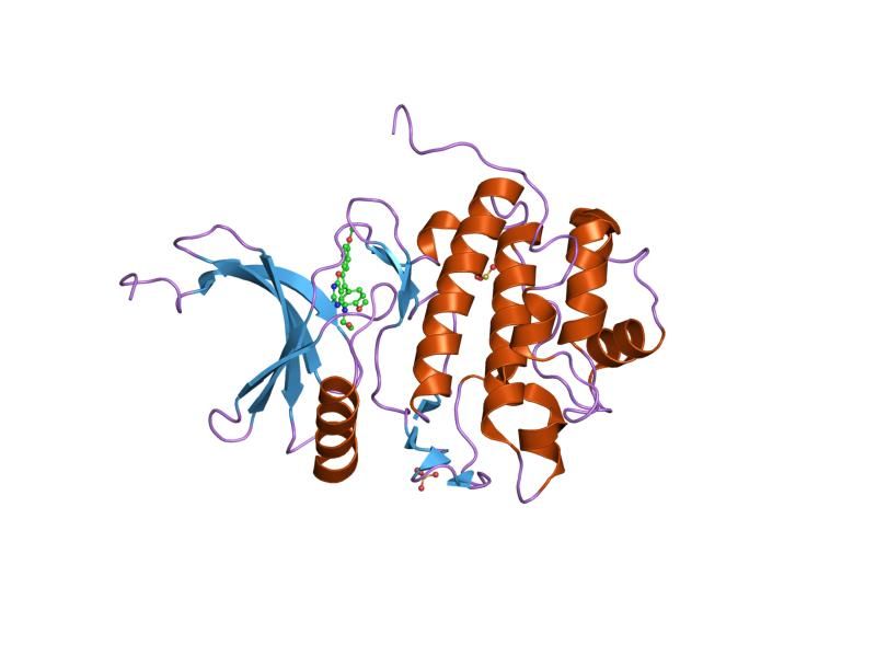 File:PDB 2br1 EBI.jpg