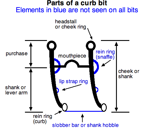 File:Parts of a Curb.png