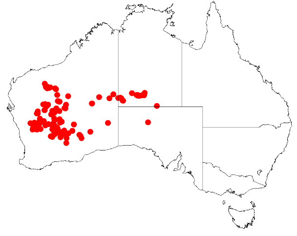 File:Acacia mulganeuraDistMap614.png