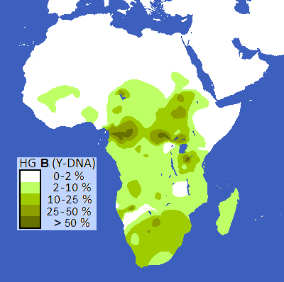 File:B haplogroup of Y-DNA.png