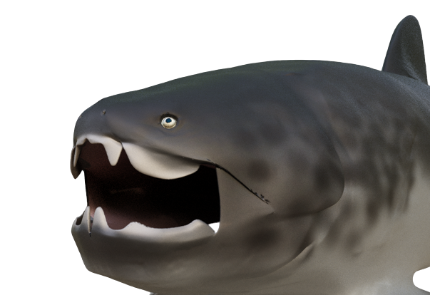 File:Dunkleosteus marsaisi life reconstruction.png