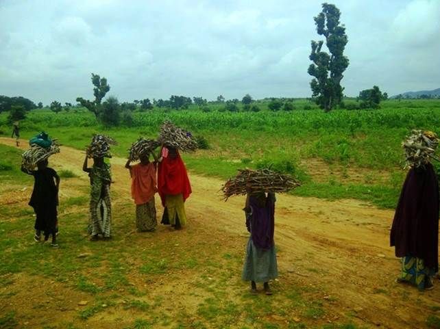 File:Gathering firewood in Nigeria.jpg