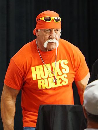 File:Hulk Hogan 2015 cropped.jpg