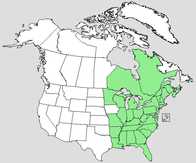 File:Medeola virginiana NA-dist-map.png