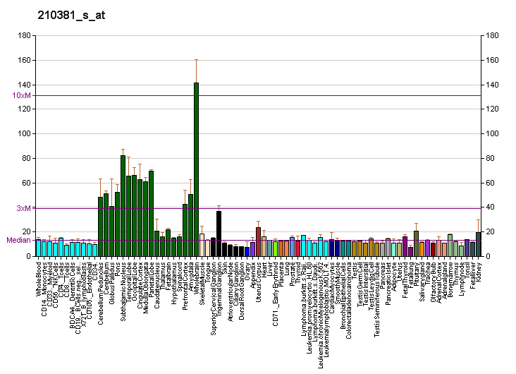 File:PBB GE CCKBR 210381 s at fs.png