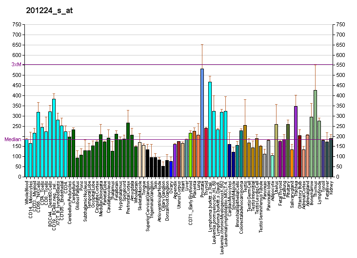 File:PBB GE SRRM1 201224 s at fs.png