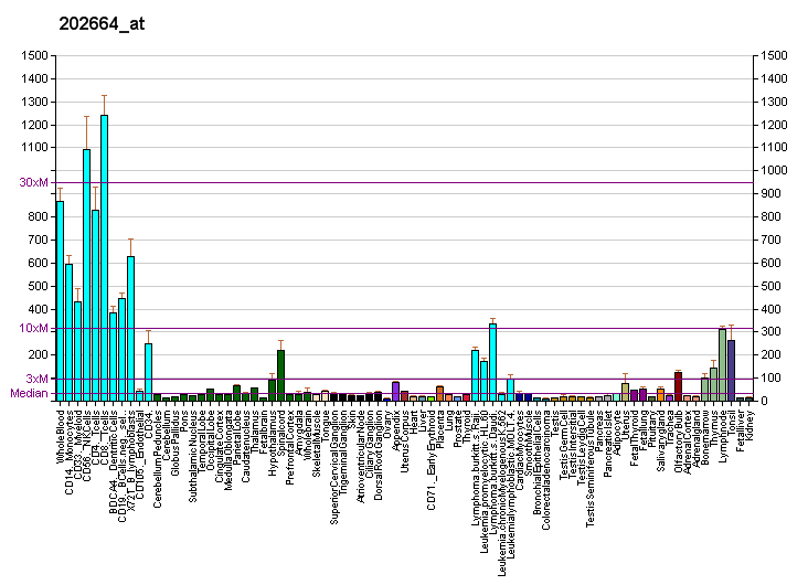 File:PBB GE WIPF1 202664 at fs.png