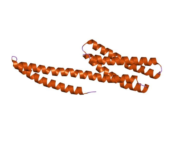 File:PDB 1dov EBI.jpg