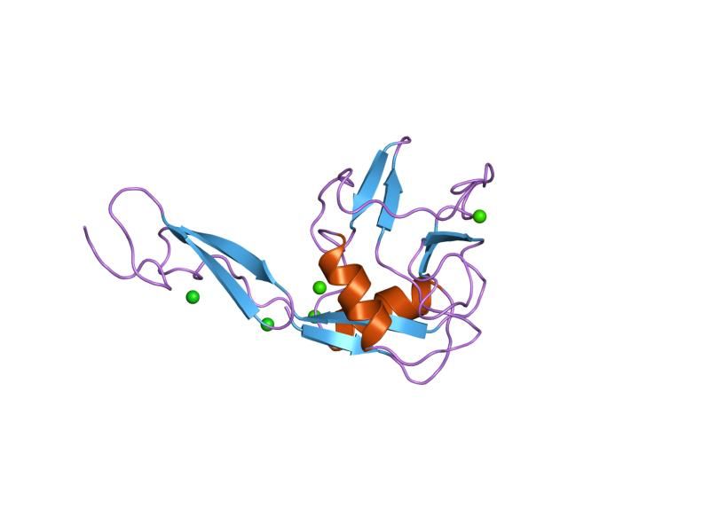 File:PDB 1esl EBI.jpg