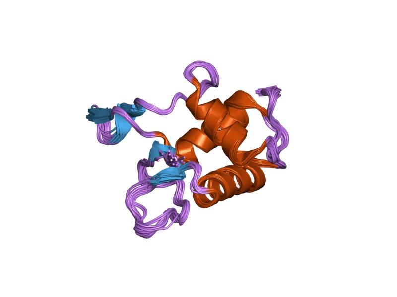 File:PDB 1fsh EBI.jpg