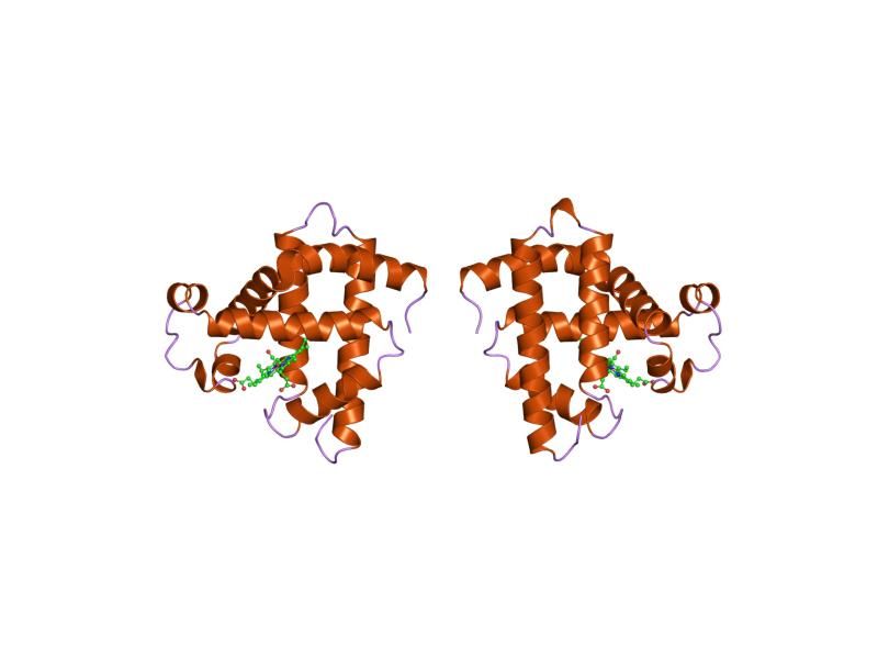 File:PDB 1m6c EBI.jpg