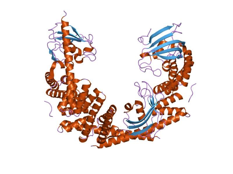 File:PDB 1qz2 EBI.jpg