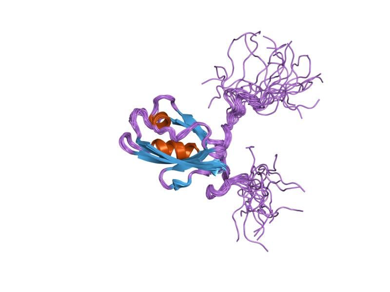 File:PDB 1ueq EBI.jpg