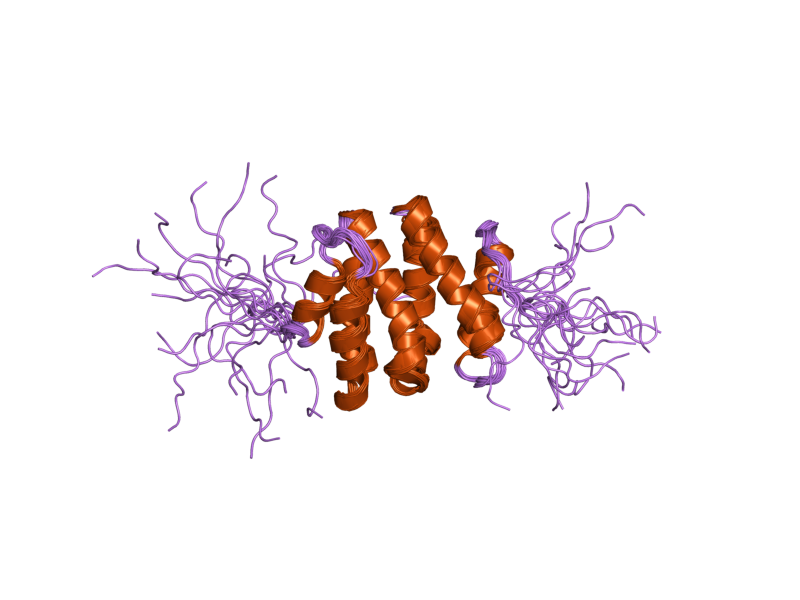 File:PDB 1x5b EBI.png