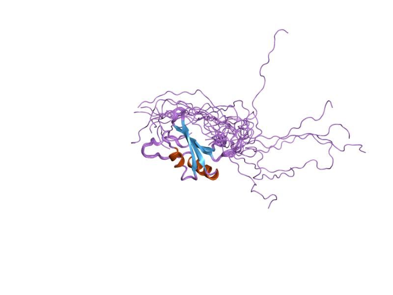 File:PDB 1x5o EBI.jpg