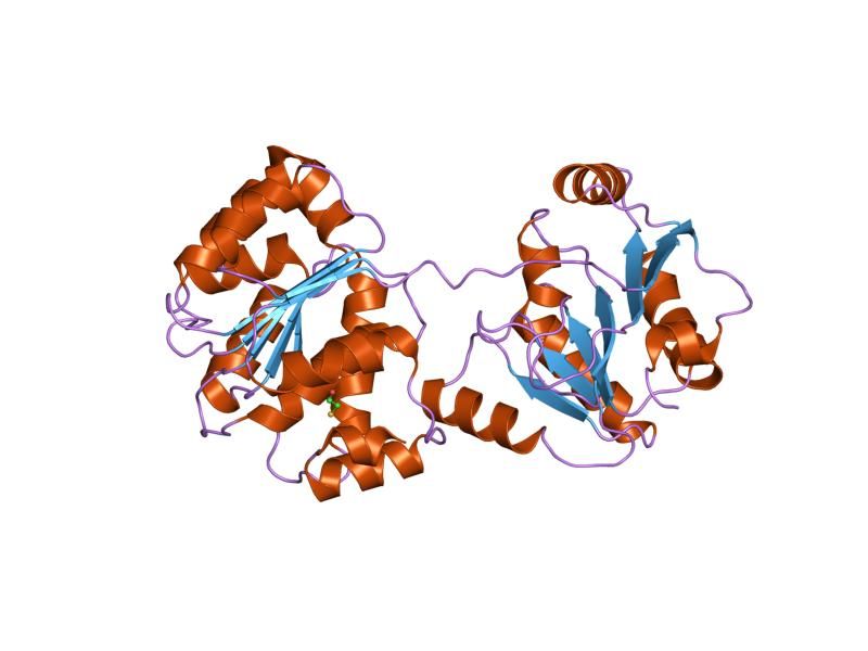 File:PDB 1xtk EBI.jpg