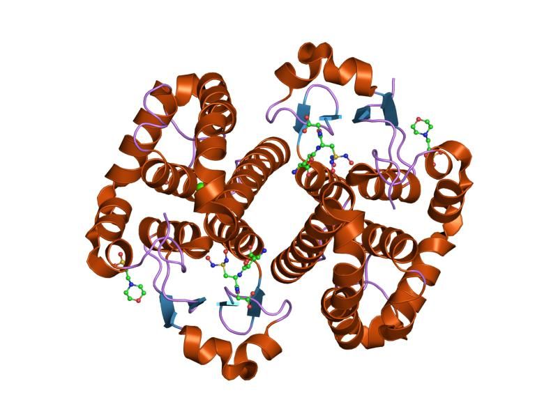 File:PDB 2a2s EBI.jpg