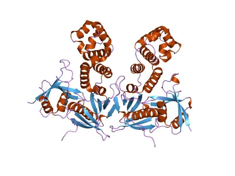 File:PDB 2aeh EBI.jpg