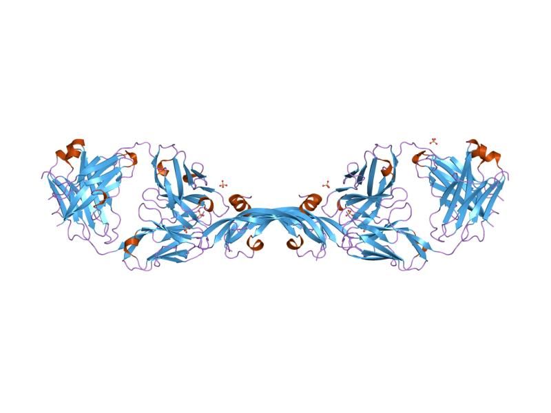 File:PDB 2fjg EBI.jpg