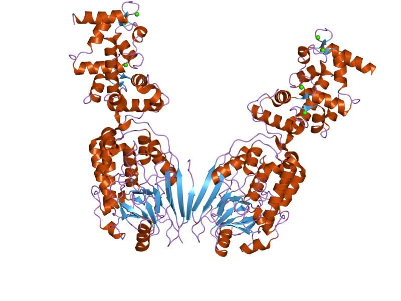 File:PDB 2p6b EBI.jpg