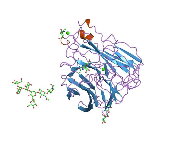 File:PDB 2qwe EBI.jpg