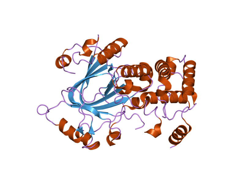 File:PDB 2yu2 EBI.png