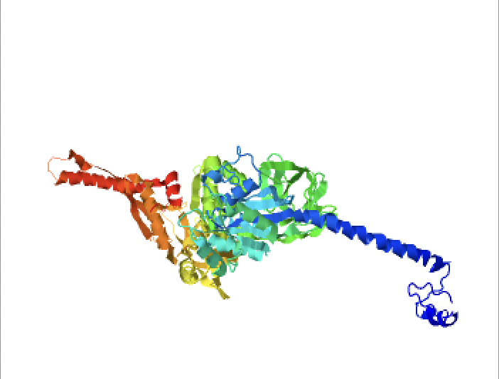 File:Tertiary Structure 1.png