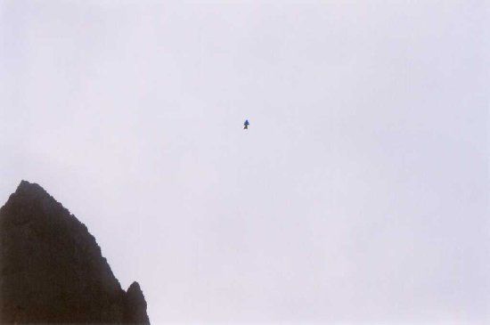 File:Baring Mountain BASE Wingsuit Picture 2.jpg