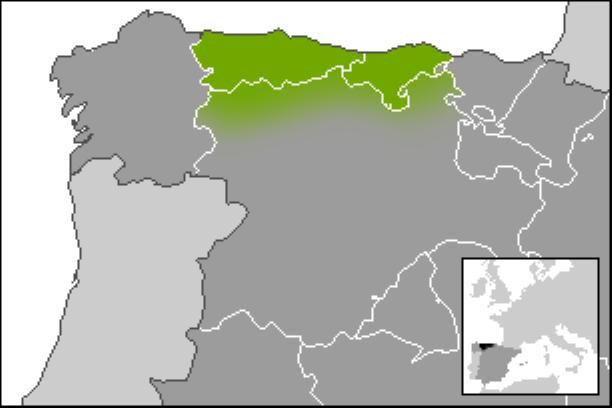 File:Cantabrian Wars.jpg