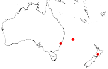 File:Carmichaelia exsulDistOc.png