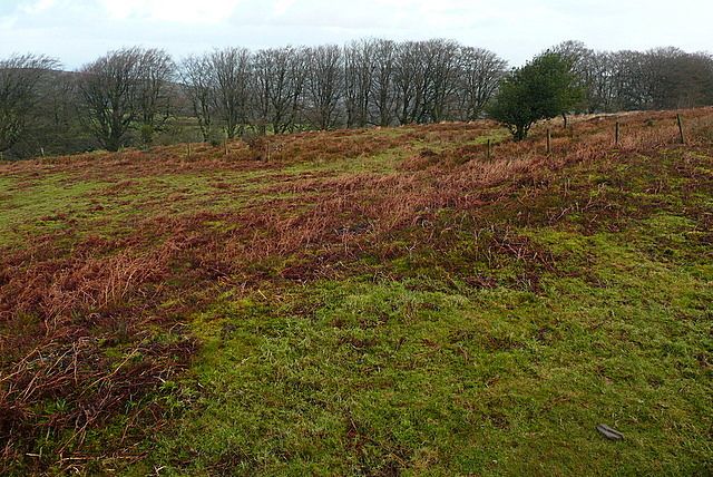 File:Enclosure at Sweetworthy (geograph 2787355).jpg