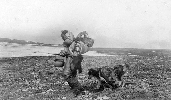 File:Maniguwan wife of Kohoktak Canadian Arctic Expedition.jpg