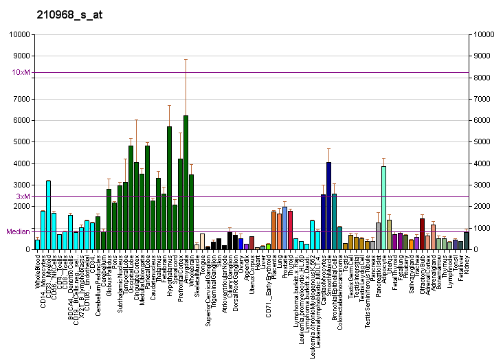 File:PBB GE RTN4 210968 s at fs.png